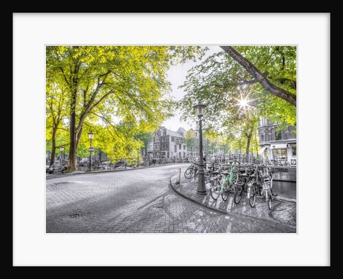 Amsterdam city street by Assaf Frank